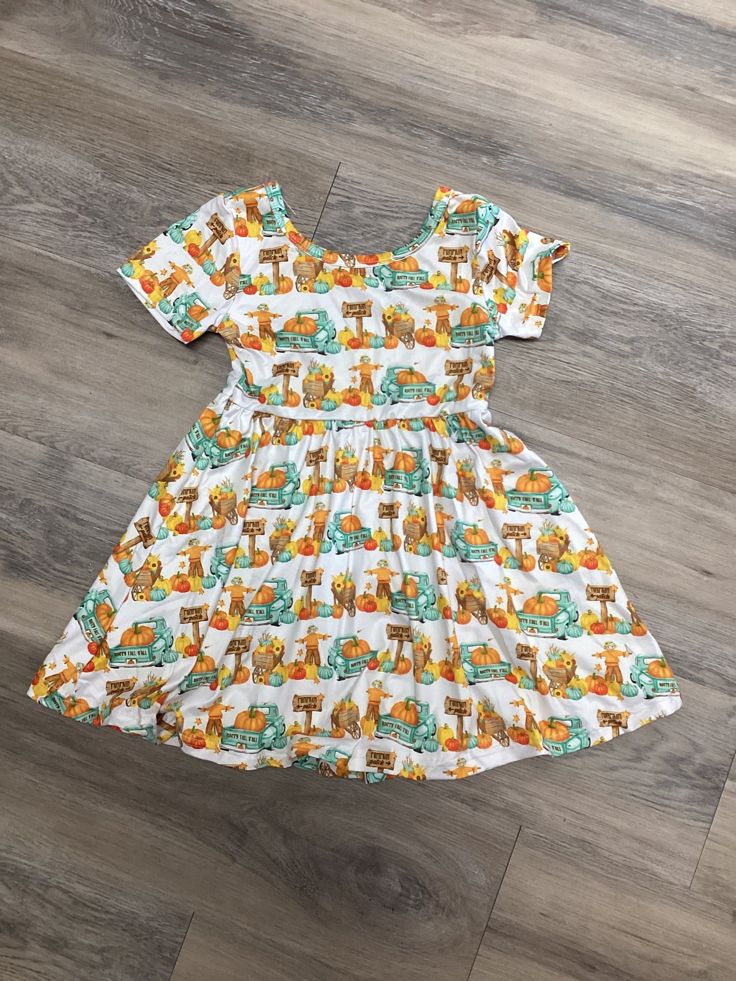 Pumpkin Patch Dress